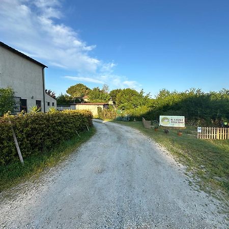 - Il Casale Toscano - 1900Mt From Leaning Tower - No Breakfast - No Air Conditioning - Free Parking - Self Check-In Only From June 15Th 比萨 外观 照片